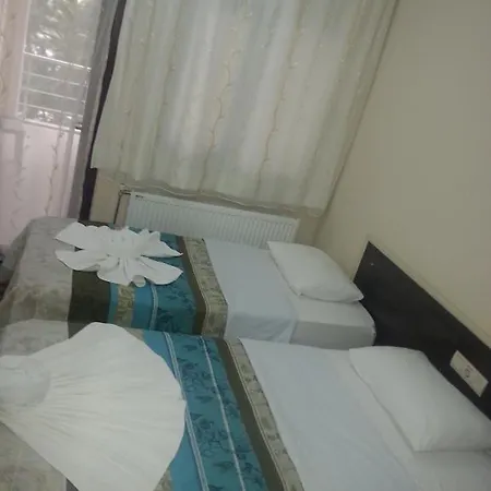 Hotel Anatolia *